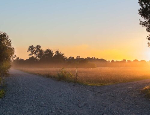 The Paradox of Choice: How Wealth and Opportunity Can Empower or Stifle Potential in Families