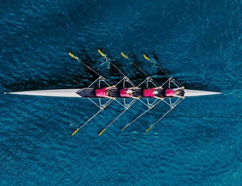 Managing Differences in Family Enterprises